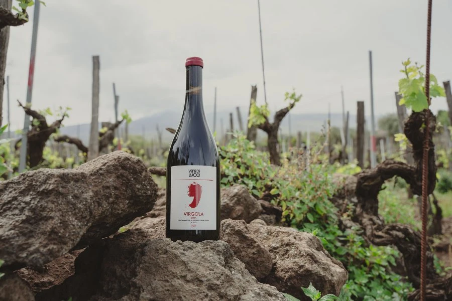 Virgola Rosso - Sicily, Italy